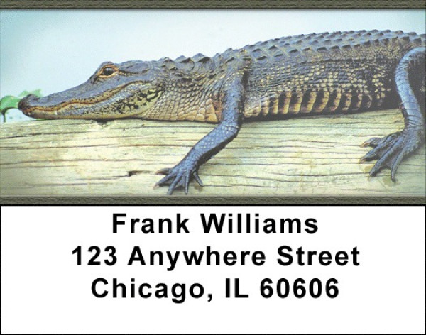 Alligators and Crocodiles Address Labels | LBZANI-43