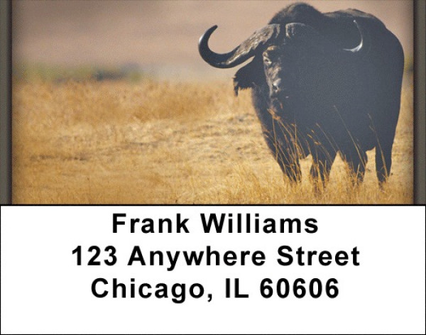 Buffalo Address Labels | LBZANI-49