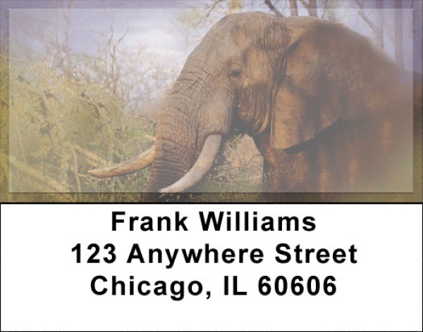 Elephants in the Wild Address Labels | LBZANI-67