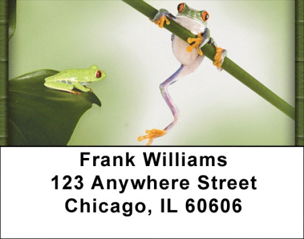 Funky Frogs Address Labels