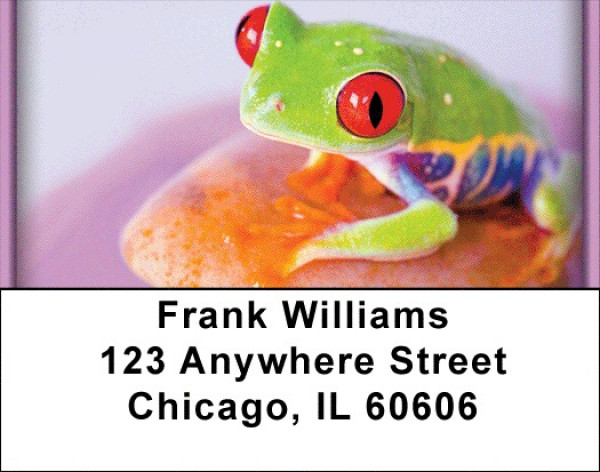 Eyes of the Frog Address Labels | LBZANI-77