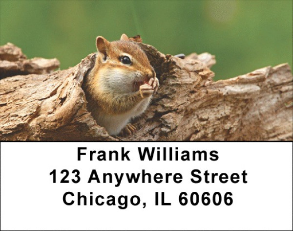 Chipmunks In Woods Address Labels | LBZANJ-28