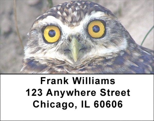 Wise Old Owls Address Labels