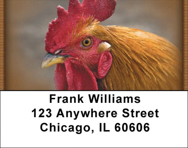 Roosters Address Labels | LBZANJ-62
