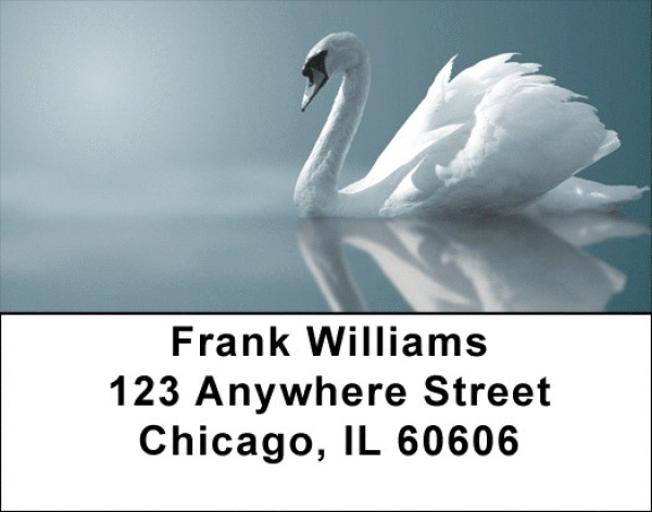 Swan Splendor Address Labels