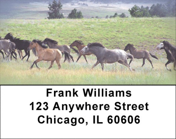 Spanish Mustang Address Labels | LBZANK-05