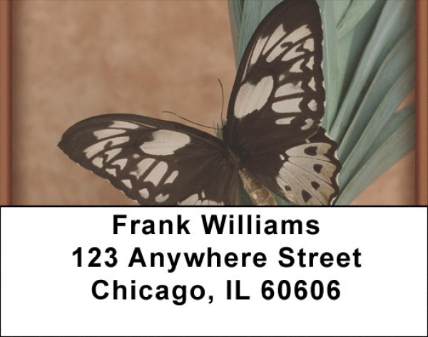Terracotta Butterfly Address Labels