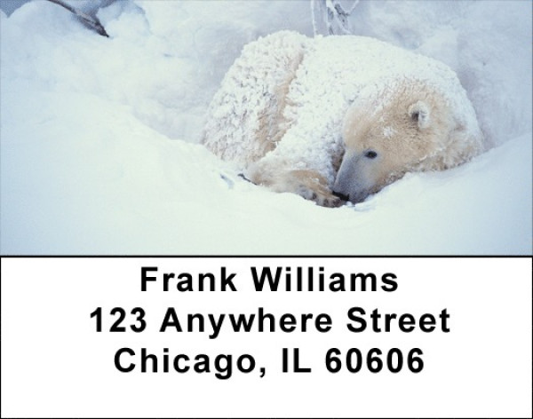 Polar - Cozy Address Labels | LBZANK-15