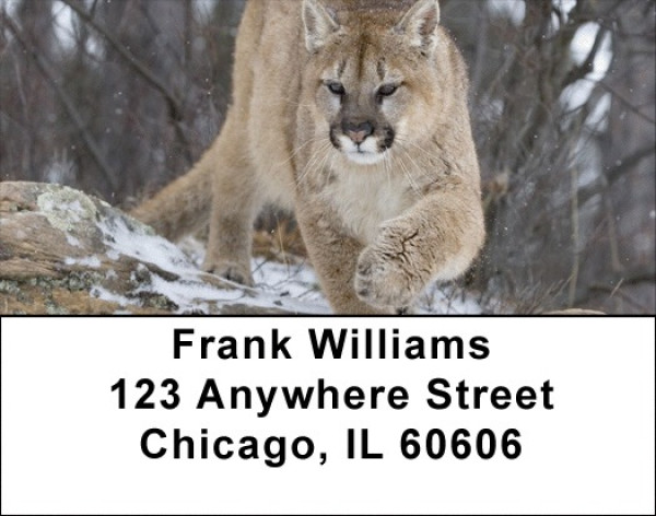 Cougar Address Labels | LBZANK-28