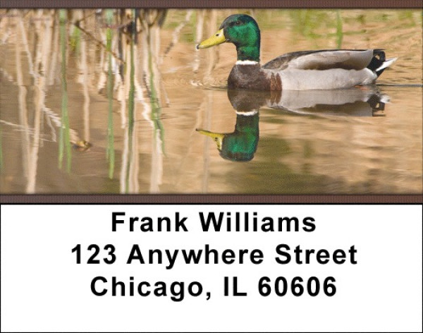 Ducks In Morning Light Address Labels | LBZANK-32