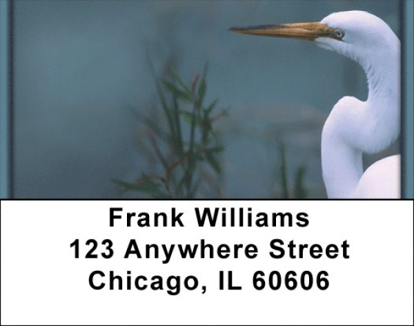 Great White Egret Address Labels | LBZANK-45