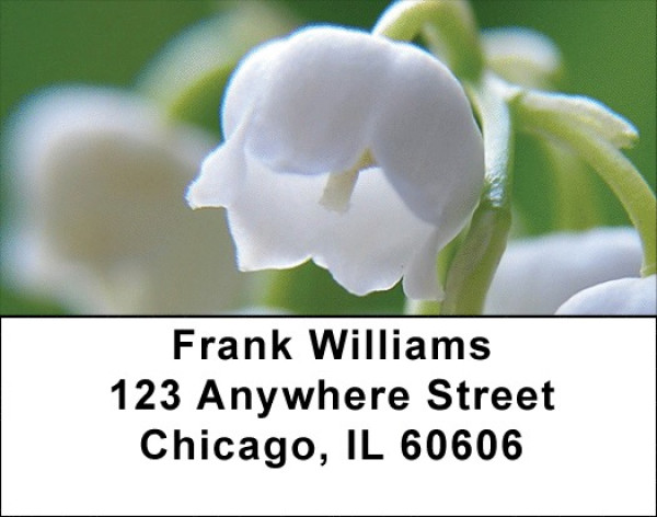 Lilly Of The Valley Address Labels | LBZFLO-27