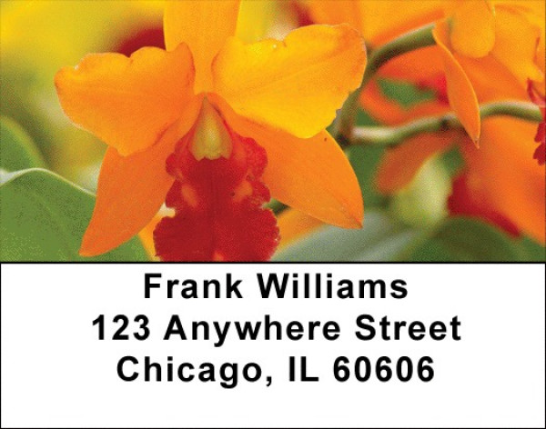 Tropical Orchids Address Labels | LBZFLO-34