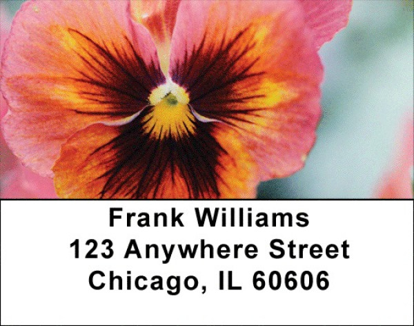 Pansy Parade Address Labels | LBZFLO-36