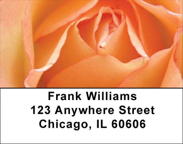 Peach Roses Address Labels