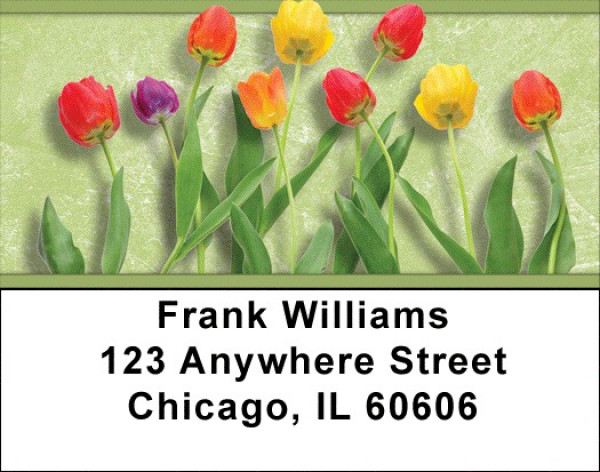 Spring Line Up Address Labels | LBZFLO-52