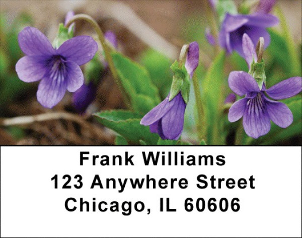 Violets Address Labels