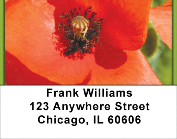 Poppy Address Labels | LBZFLO-69