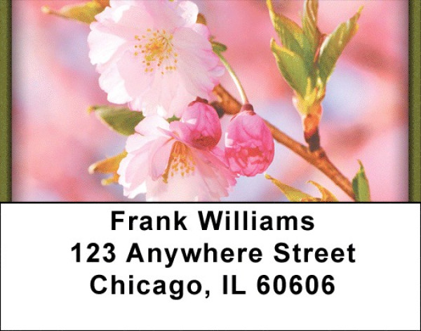 Cherry  Blossoms Address Labels | LBZNAT-19