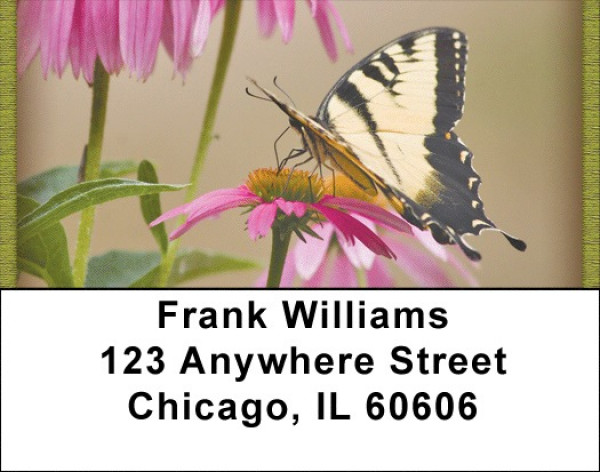 Brown Eyed Susans With Butterfly Address Labels | LBZNAT-38