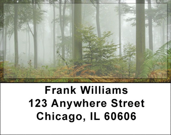 Fern Forrest Address Labels | LBZNAT-43