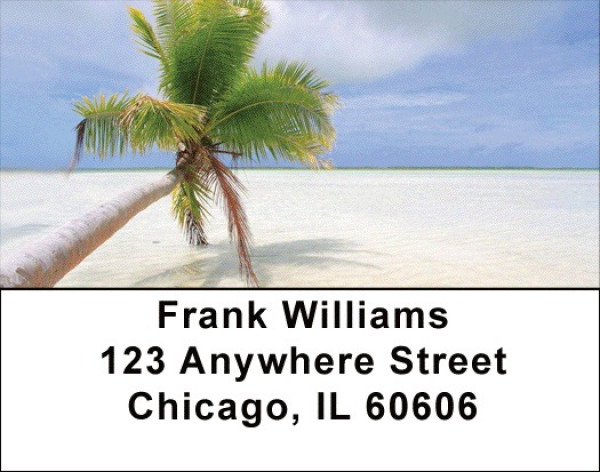 Palms On Beach Address Labels