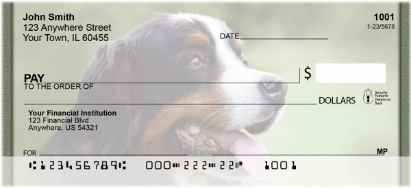 Bernese Mountain Dogs Personal Checks | QBB-25
