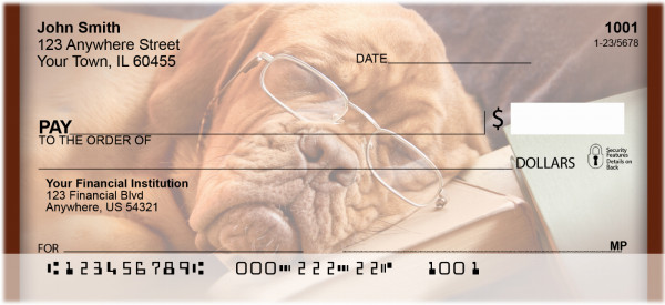 Teaching An Old Dog Personal Checks | QBB-31