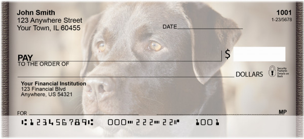 Chocolate Labrador Retrievers Personal Checks | QBB-67