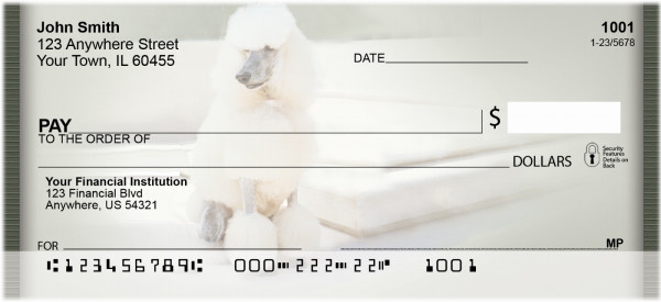 White Standard Poodle Personal Checks | QBB-87