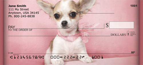 Chihuahuas in Pink Checks